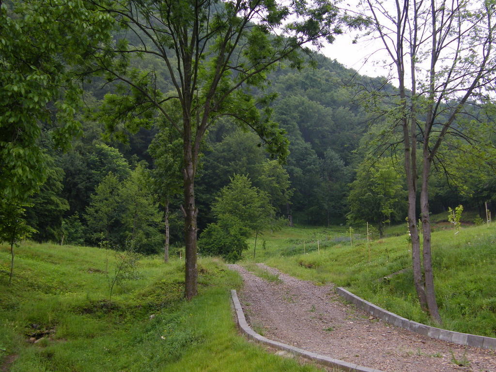 Pensiunea Poiana Verde Slănic-Moldova Exterior foto